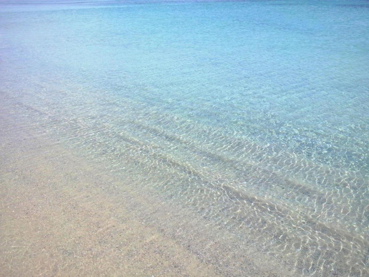 Sea Love Olbia Exterior foto